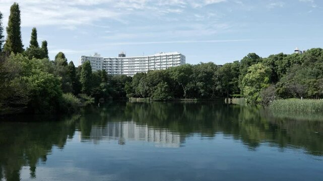 Tokyo Scene : Pond with Clear Water and Wind Ripples on the Water Surface in a Nature-Rich City Park | Inokashira Park, Kichijoji, Tokyo, Japan