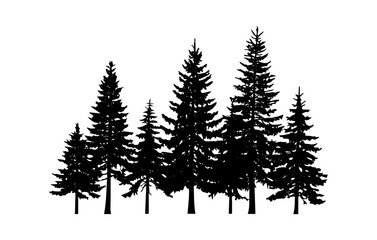 Varying Pine Tree Silhouettes, Forest Landscape, Black Evergreen Trees on White Background Design
