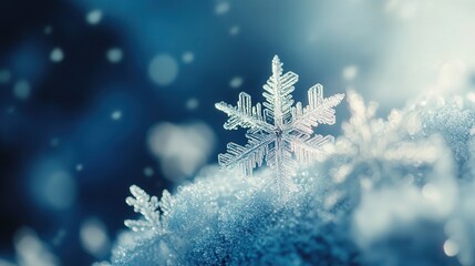 cluster of ice flakes forming a textured, frosty layer on a windshield.