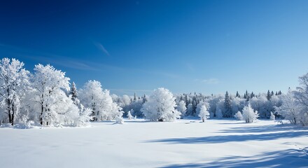 Obraz premium Winter Landscape with Snow Covered Trees and Clear Blue Sky