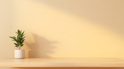 Minimalist desk setup, bright sunlight casting soft shadows, potted plant creating a serene workspace, perfect for relaxation.