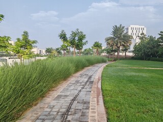 Fototapeta premium Small Interlock Path Between Landscaping Area. Green And Lush Landscaping Area With Carpet Grass And Trees Like Palm Or Washingtonia, Some Houses Or Villa's Also Beside Gardens Padestrian Pathway.