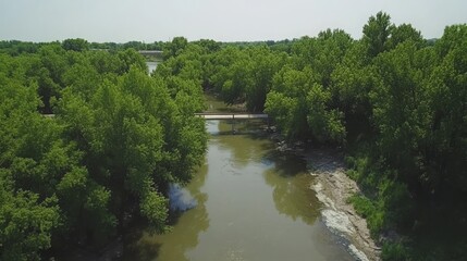 Fototapeta premium Aerial drone view of lush green trees - forest carbon capture for net-zero goals. 