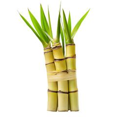 Fototapeta premium Sugarcane Juice png