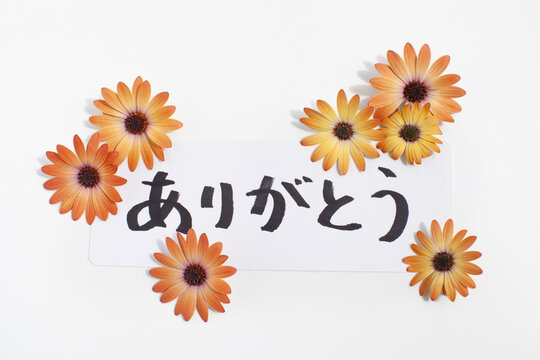 ありがとう Images – Browse 29,130 Stock Photos, Vectors, and Video