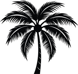 Obraz premium A coconut tree silhouette white background