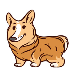 Cute cartoon corgi dog doodle in brown color with white details. Pet vector illustration for kids designs, stickers, greeting cards, or any project featuring playful orange corgi dog.