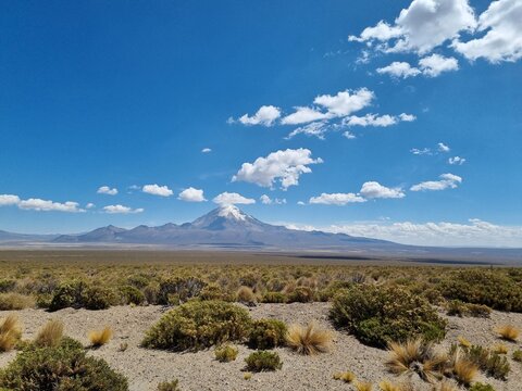 View of Nevado Sajama, Sajama National Park, Bolivia