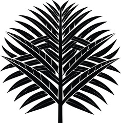 Fototapeta premium A palm frond weave pattern silhouette white background