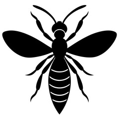 beetle Silhouette Vector on white background