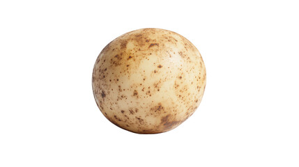 Fototapeta premium Fresh Potato Isolated on White Background for Food and Agriculture Concepts