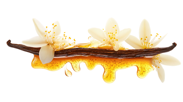 Symmetrical Honey Dripping on Vanilla: Professional Image Usage