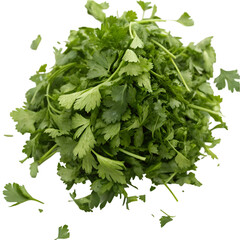 Obraz premium Chopped parsley isolated on transparent background