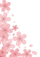 Falling Pink Flower Petals Illustration on White Background
