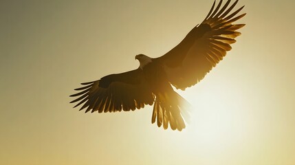 Majestic bald eagle in flight against a vibrant sunset.  Silhouette of the eagle is beautifully backlit, showcasing its powerful wings.