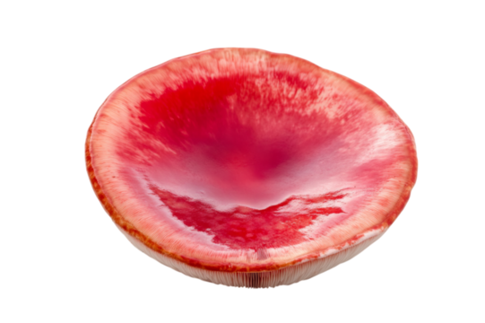 Intriguing Red Mushroom Cap Close-up . White background PNG