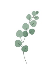 Stylized Eucalyptus Branch with Green Leaves Illustration
