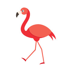 bird flamingo colorful vector art illustration