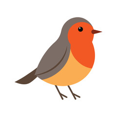 Colorful robin vector art illustration