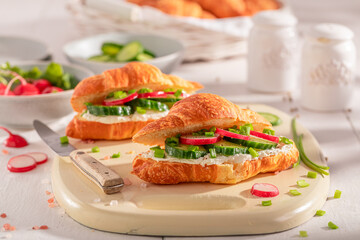 Healthy and homemade french croissant with radish and cottage cheese.