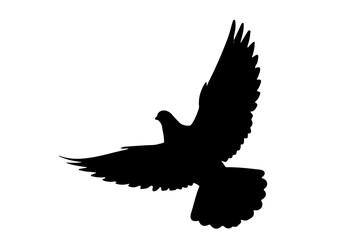 dove FLYING, bird of peace. 