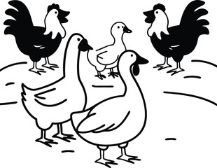 hen and chicks