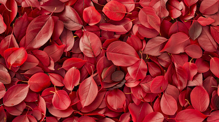 High-resolution red leaf texture with organic variations on a subtle background, perfect for artistic wallpapers, banners, and modern design displays.

