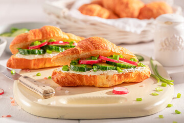 Tasty and hot french croissant in spring morning.