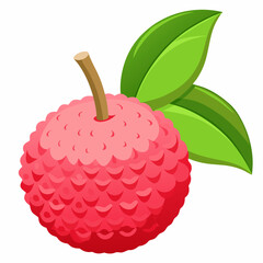 Vector illustration of a lychee
