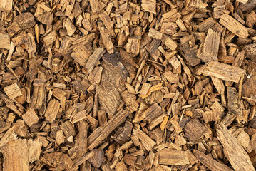 Background texture with wood shavings of Canary Island pine , pinus canariensis