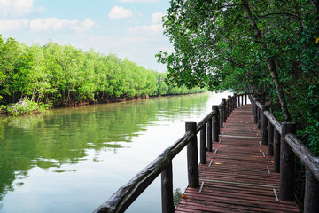 Naklejka premium Wooden footbridge in coast of mangrove forest for trail route. Walking bridge, a wood bridge across jungle, path way at the Mu Ko Chumphon national park, Chumphon Province,Thailand.