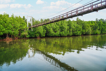 A suspension wooden footbridge in mangrove forest for trail route. Walking bridge, a wood bridge across jungle, path way at the Mu Ko Chumphon national park, Chumphon  Province,Thailand.