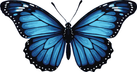 Dark blue butterfly, isolated, nature, graphic design element