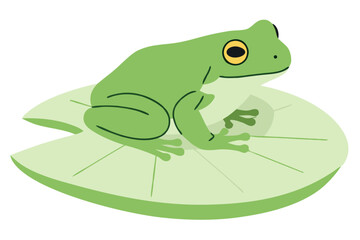 Frog Sitting on a Green Lotus Leaf in Calm Water Environment for Nature and Wildlife Themes