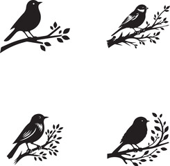 set of birds