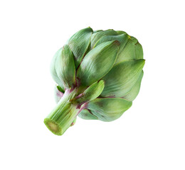 Whole fresh green artichoke isolated on a white background. Fresh artichoke isolated.