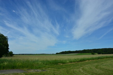 Landschaft, Natur, Feld, Horizont, Sonne, Himmel, Sommer