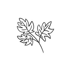 Vector linear boho elements icons and symbols