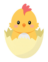 Cute Baby Chick Hatching Egg
