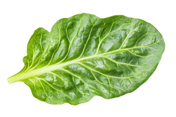 Obraz premium Close-up of a Vibrant Green Leaf . White background PNG