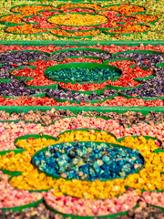 Dry cactus flowers arranged into colorful floral patterns in Marrakesh, Morocco, showcasing vibrant traditional craftsmanship, exotic cultural decoration, natural textures and handmade botanical art.