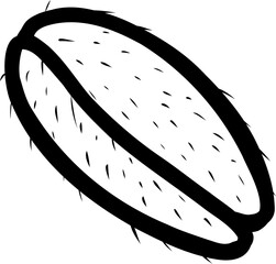 vector illustration of an orange fruit