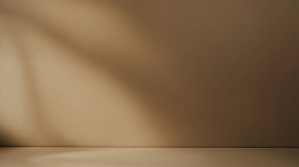 Neutral Tan Studio Background with Window Light Creating Soft Shadows