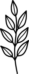 Leaf hand drawing decorative element