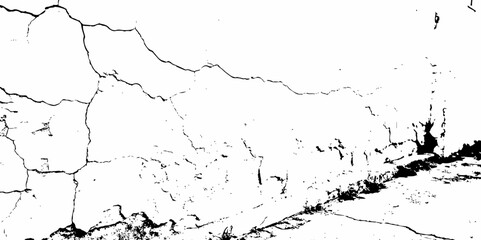 Fototapeta premium Dust or old grunge concrete building damaged grunge wall black and white texture effect white background.