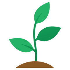 Fototapeta premium Potted Plant