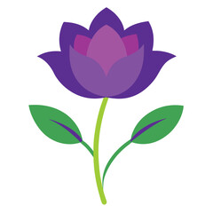 Beautiful Purple Flower