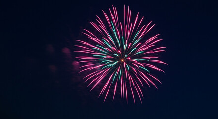 A Vibrant Fireworks Display Illuminating the Night Sky Celebration