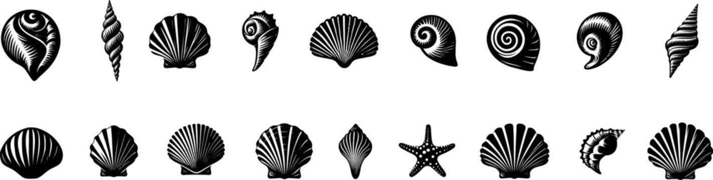 Seashells black icons collection. Starfishes and seashells vector icons .Marine Shell illustration isolated.Scallop,conch shell.snail icon.
