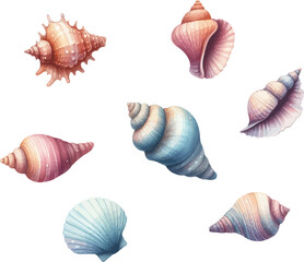 Seashells  icons collection. Starfishes and seashells vector icons .Marine Shell illustration isolated. Scallop,conch shell , snail icon.